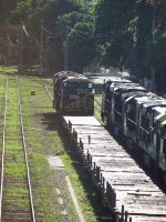 MRSL 3916